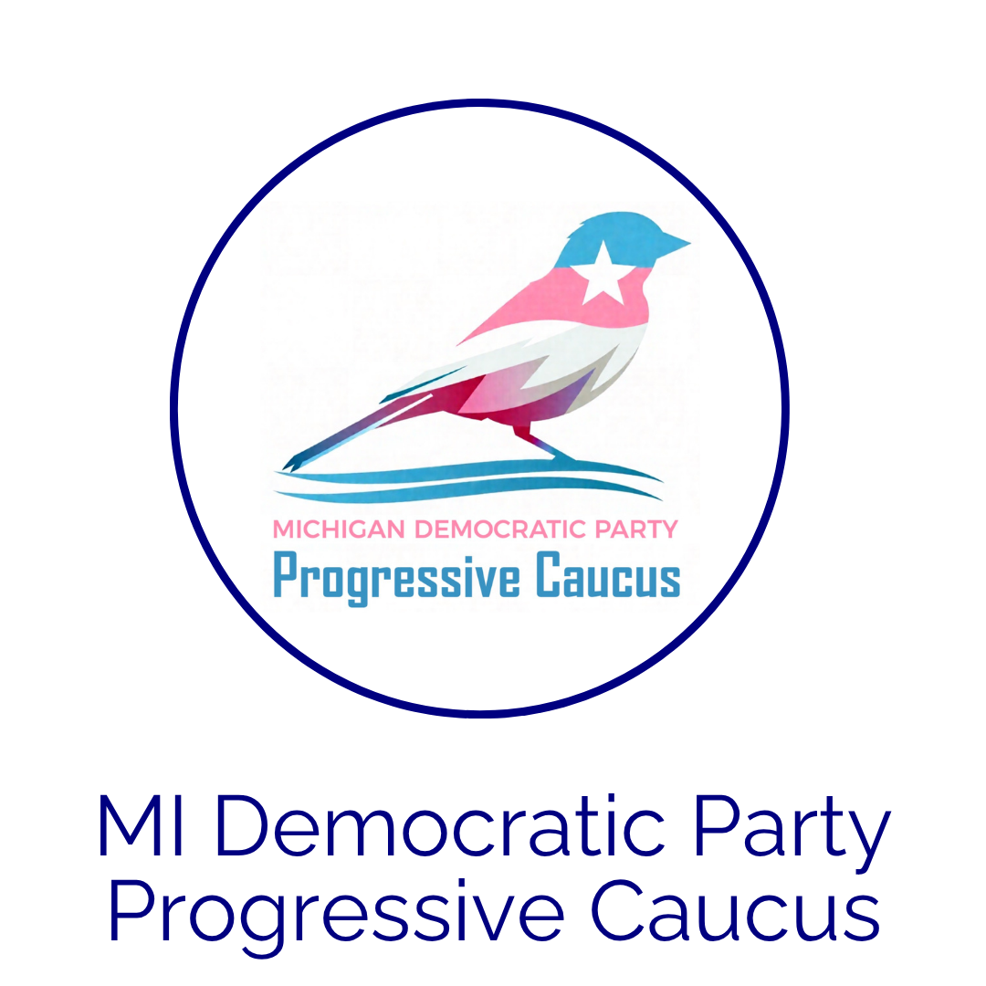 Image of Detroit Action Organization.